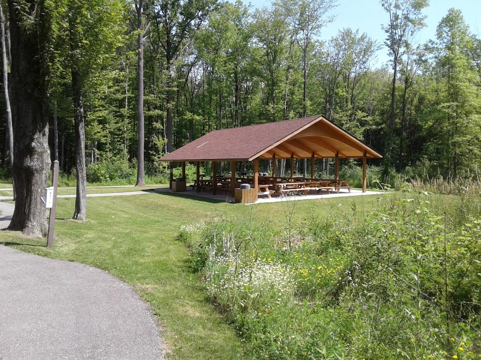 Skok Meadow