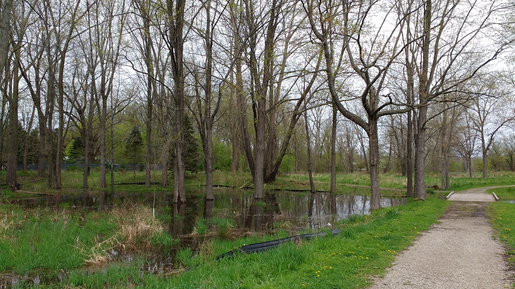 Grand River Conservation Area