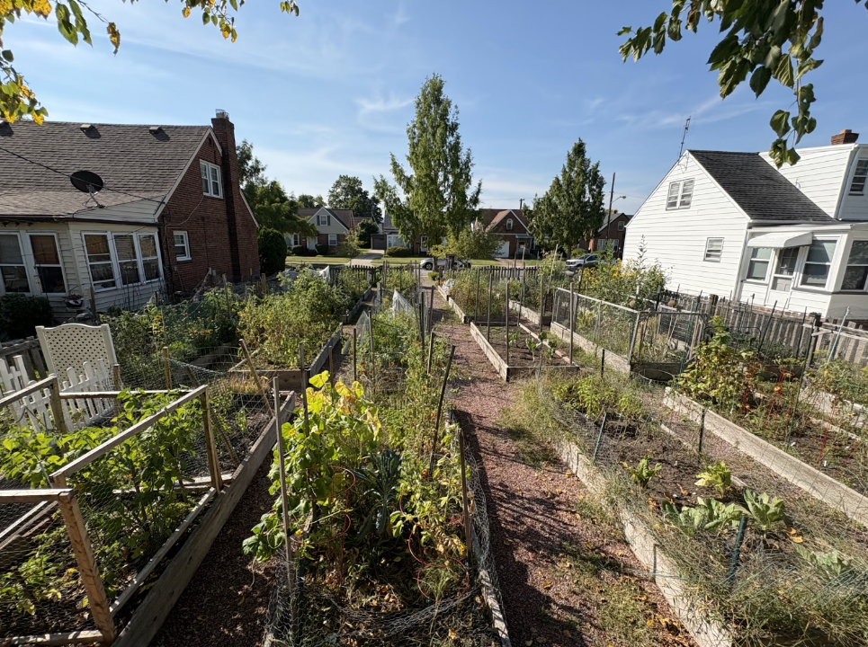 Warrendale Community Garden