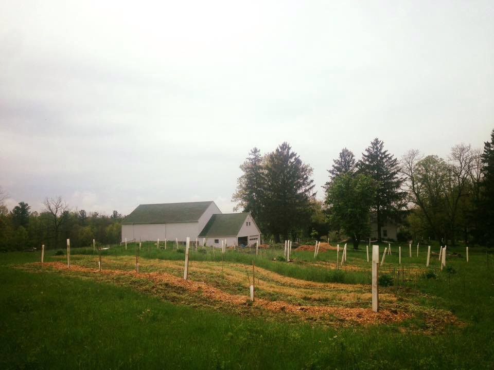 Purplebrown Farmstead