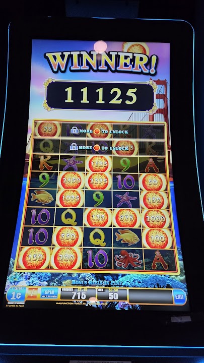 Lucky Ducks Arcade