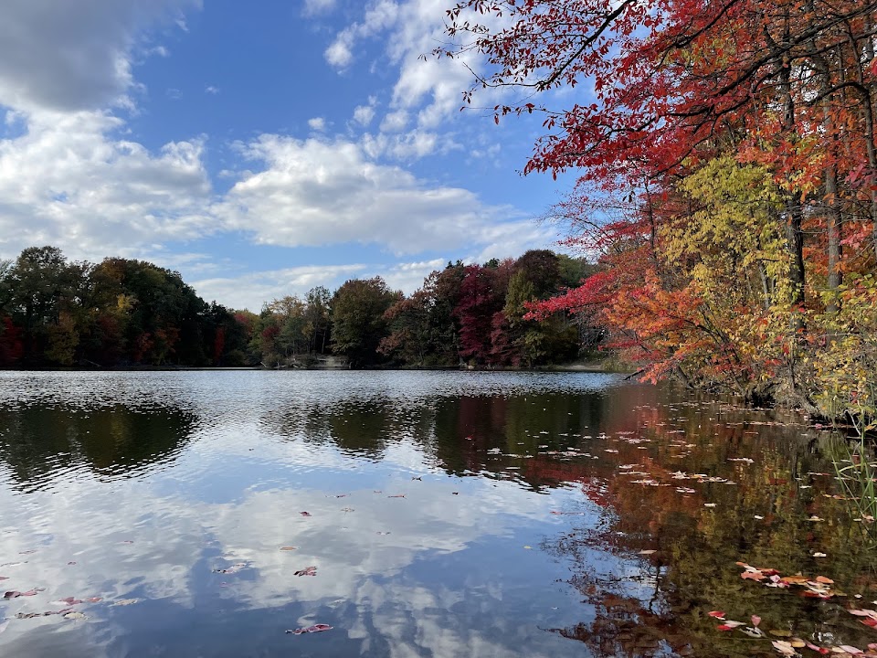 Wallace lake