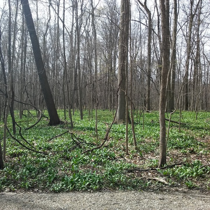 Maple Grove Park