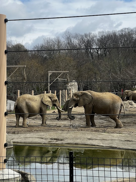 Cleveland Zoological Society