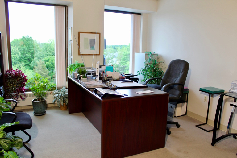 PS Executive Centers Inc.