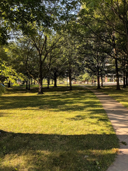 David E. Davis Sculpture Garden
