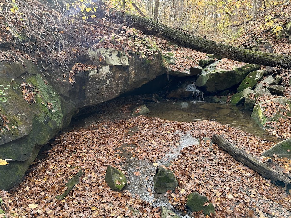 Deer Lick Cave