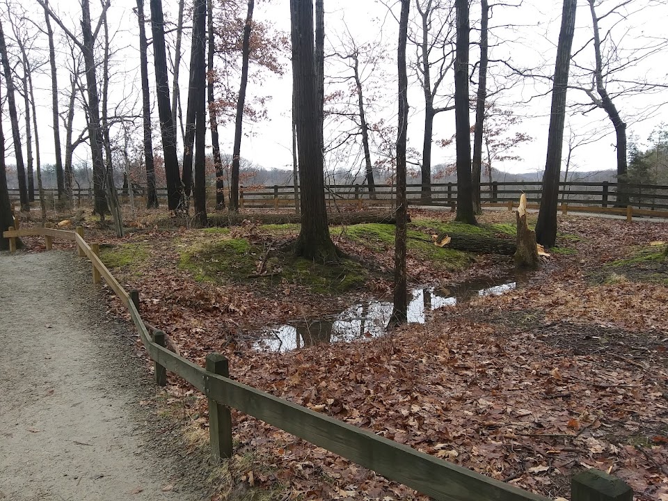Fort Hill