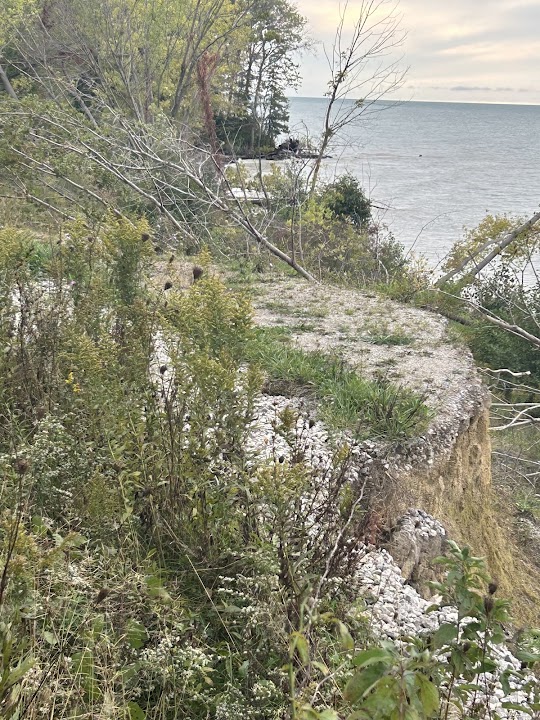 Mentor Marsh Nature State Preserve