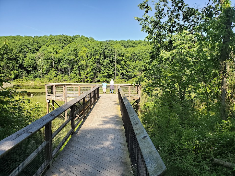 Pete's Pond Preserve