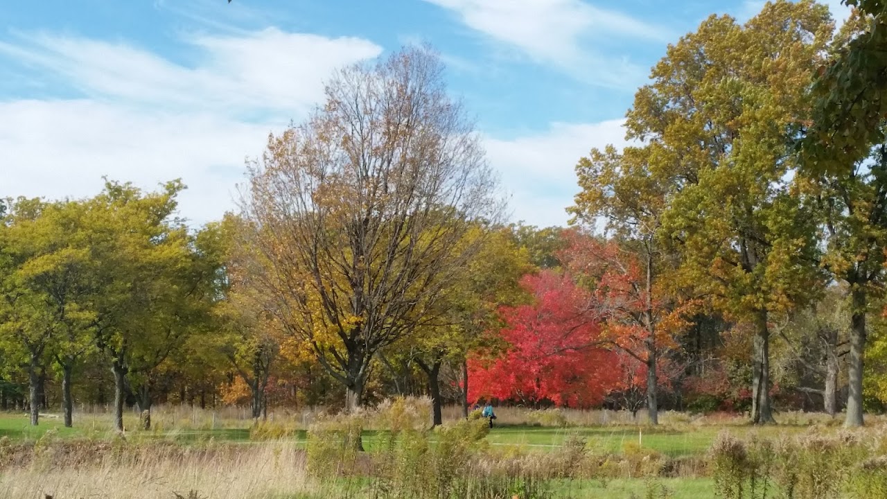 Acacia Reservation