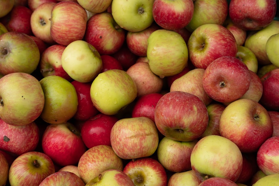 Monroe's Orchard