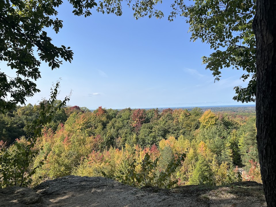 Chapin Forest Reservation