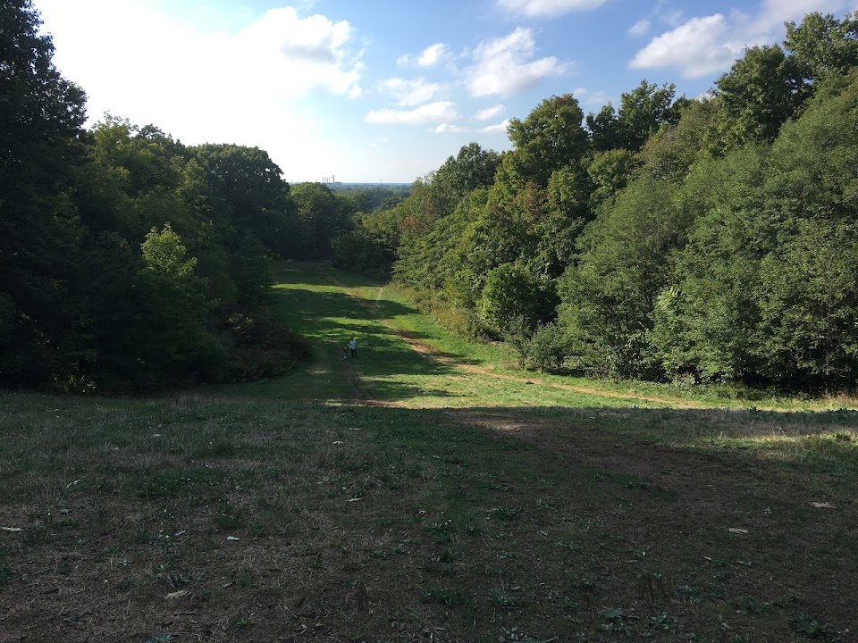 Forest Hill Park