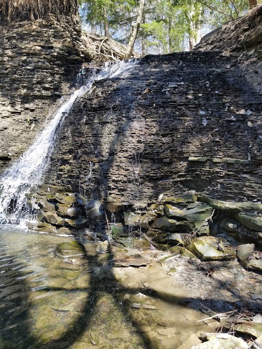 Rear Quarry Reservation Picnic Area