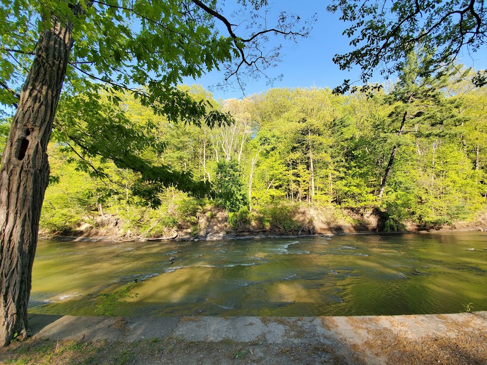 Lagoon Picnic Area