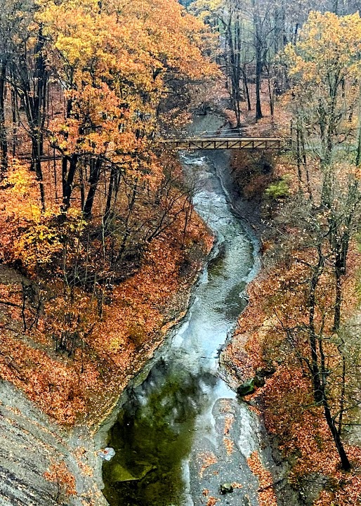 Euclid Creek Park Pavilion