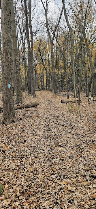 Mentor Marsh State Nature Preserve