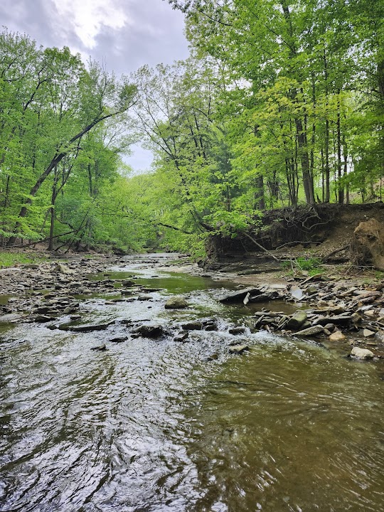 Double Falls