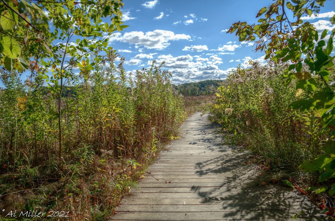 Wake Robin Boardwalk Trail