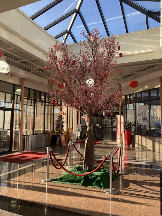 Asia Plaza